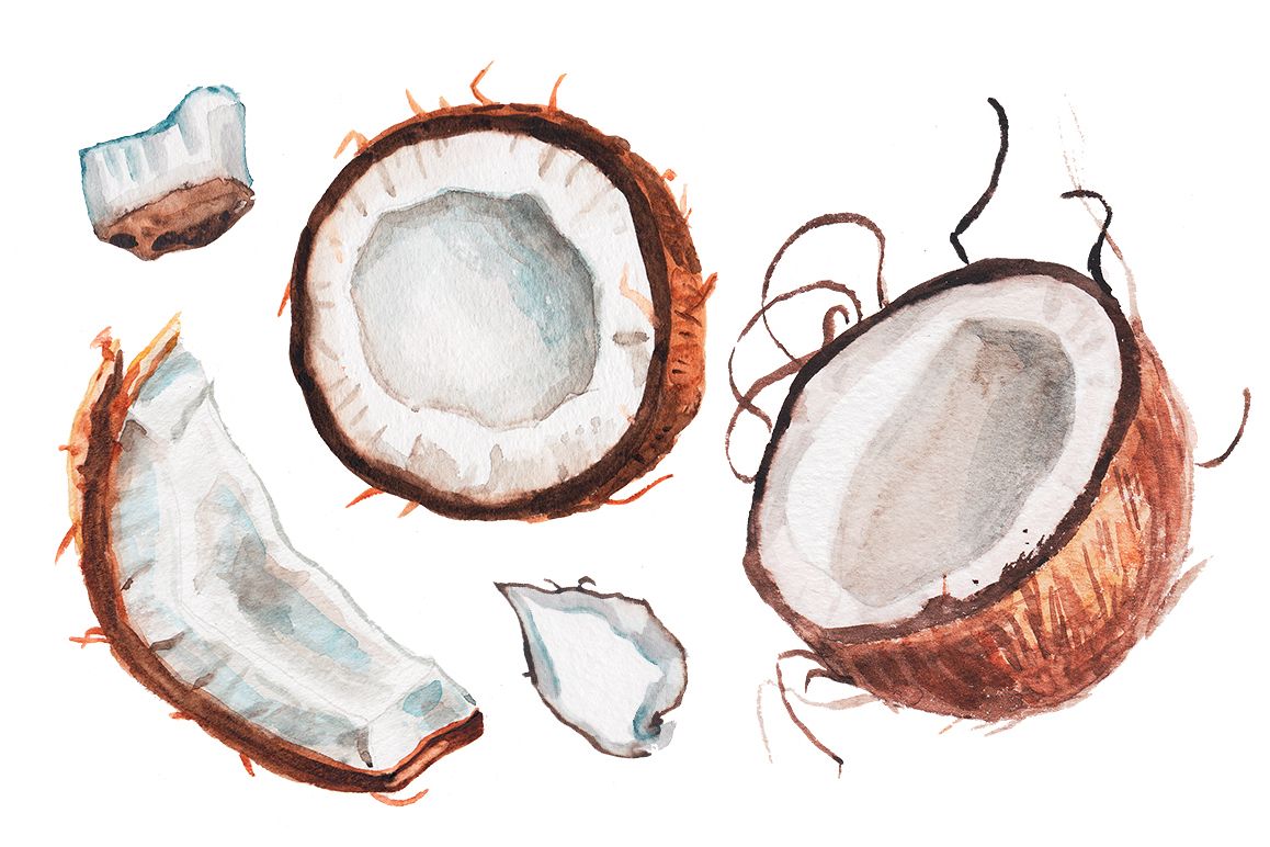 Coconut Oil Cocos Nucifera Oil